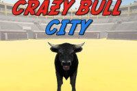 Crazy Bull City
